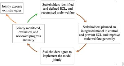 Control and Prevention of Epizootic Lymphangitis in Mules: An Integrated Community-Based Intervention, Bahir Dar, Ethiopia